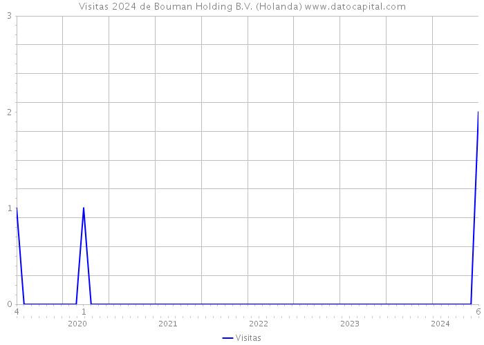 Visitas 2024 de Bouman Holding B.V. (Holanda) 