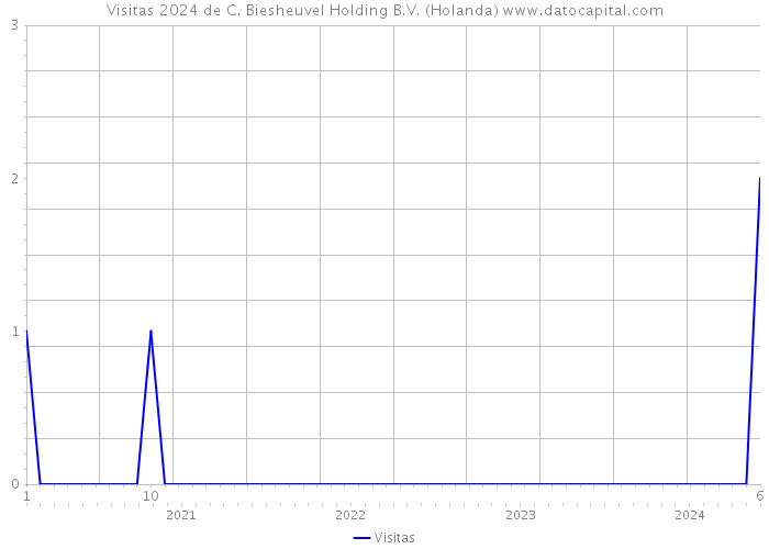 Visitas 2024 de C. Biesheuvel Holding B.V. (Holanda) 