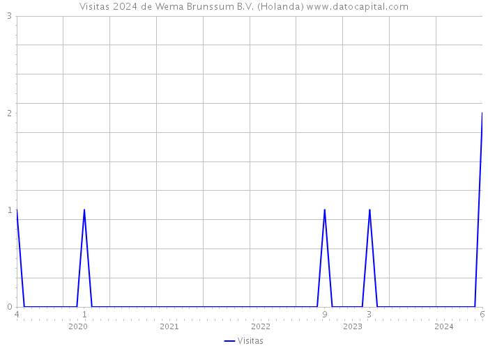 Visitas 2024 de Wema Brunssum B.V. (Holanda) 