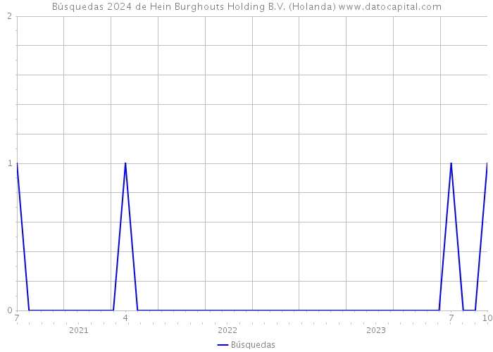 Búsquedas 2024 de Hein Burghouts Holding B.V. (Holanda) 