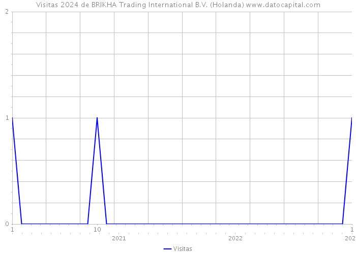 Visitas 2024 de BRIKHA Trading International B.V. (Holanda) 