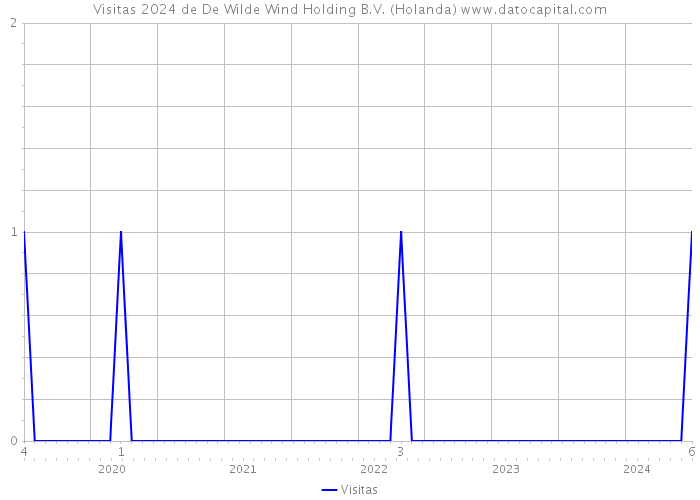 Visitas 2024 de De Wilde Wind Holding B.V. (Holanda) 