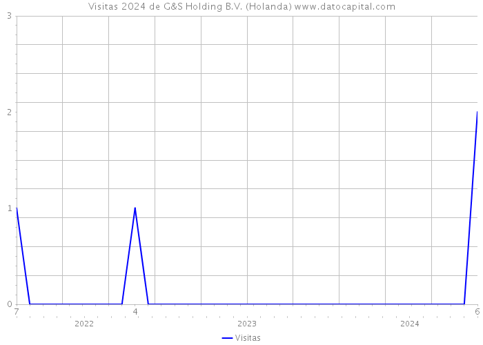 Visitas 2024 de G&S Holding B.V. (Holanda) 