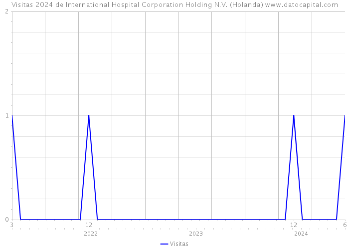 Visitas 2024 de International Hospital Corporation Holding N.V. (Holanda) 