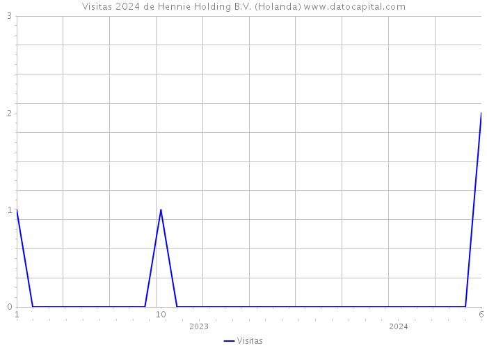 Visitas 2024 de Hennie Holding B.V. (Holanda) 
