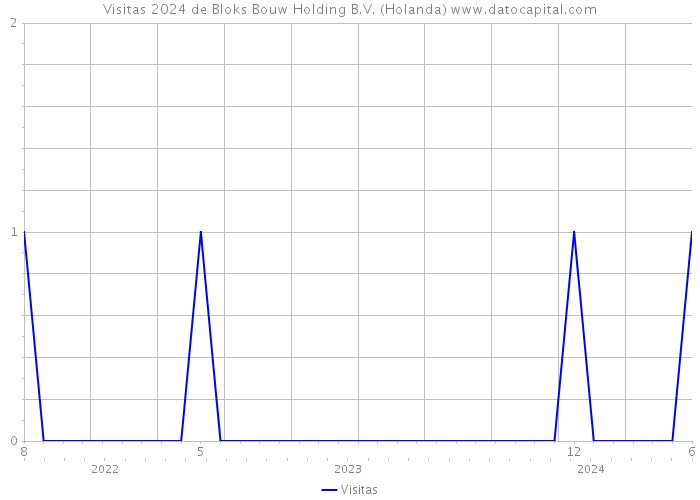 Visitas 2024 de Bloks Bouw Holding B.V. (Holanda) 