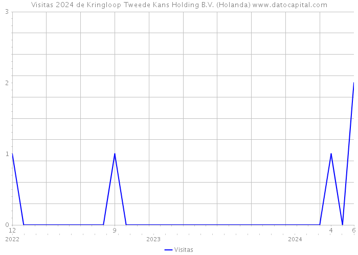 Visitas 2024 de Kringloop Tweede Kans Holding B.V. (Holanda) 