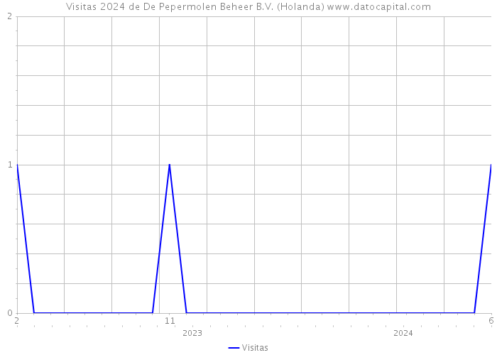 Visitas 2024 de De Pepermolen Beheer B.V. (Holanda) 
