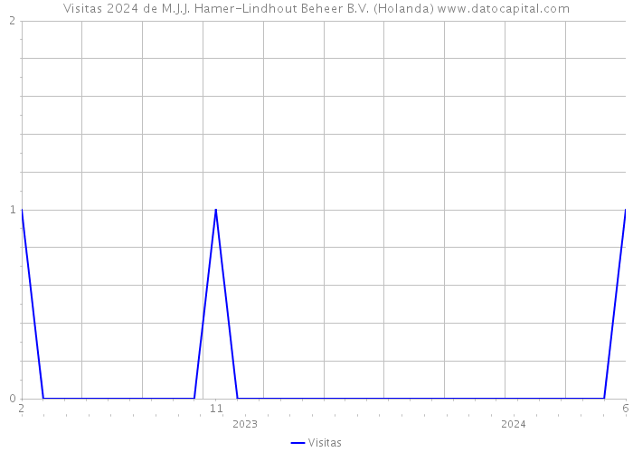 Visitas 2024 de M.J.J. Hamer-Lindhout Beheer B.V. (Holanda) 