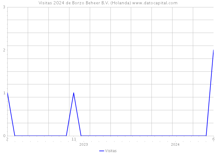 Visitas 2024 de Borzo Beheer B.V. (Holanda) 