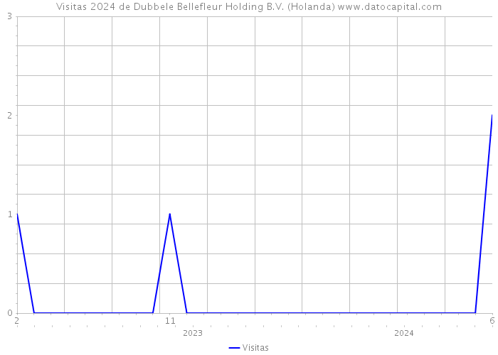 Visitas 2024 de Dubbele Bellefleur Holding B.V. (Holanda) 