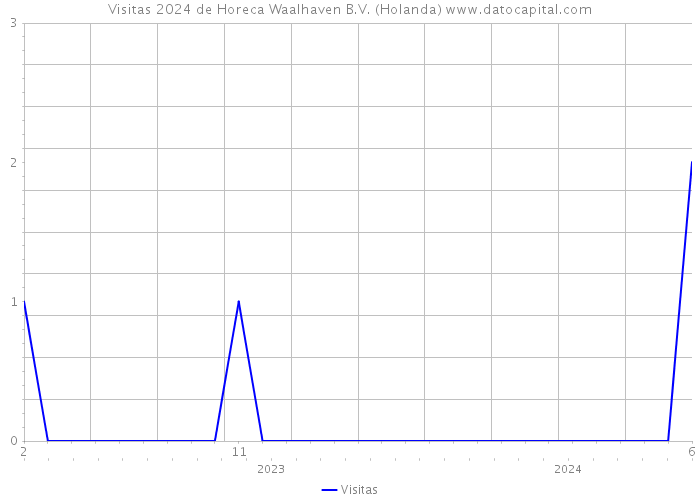 Visitas 2024 de Horeca Waalhaven B.V. (Holanda) 