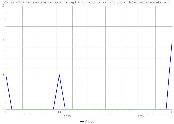 Visitas 2024 de Investeringsmaatschappij Delfts Blauw Beheer B.V. (Holanda) 