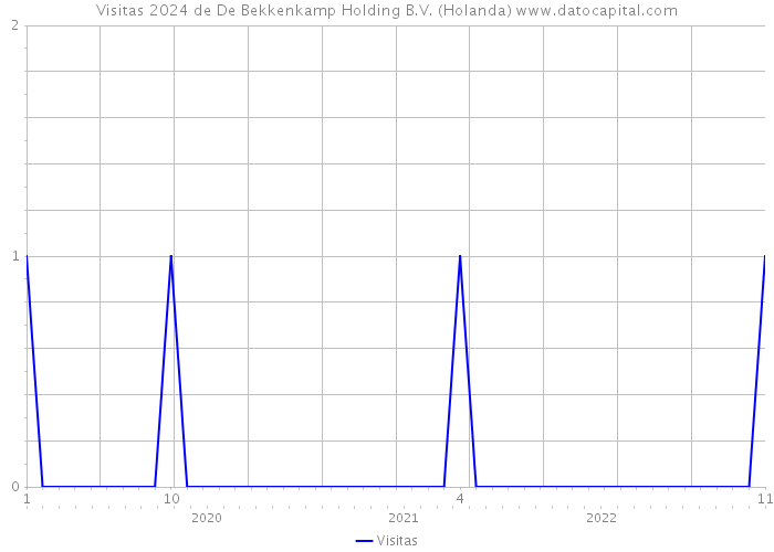 Visitas 2024 de De Bekkenkamp Holding B.V. (Holanda) 