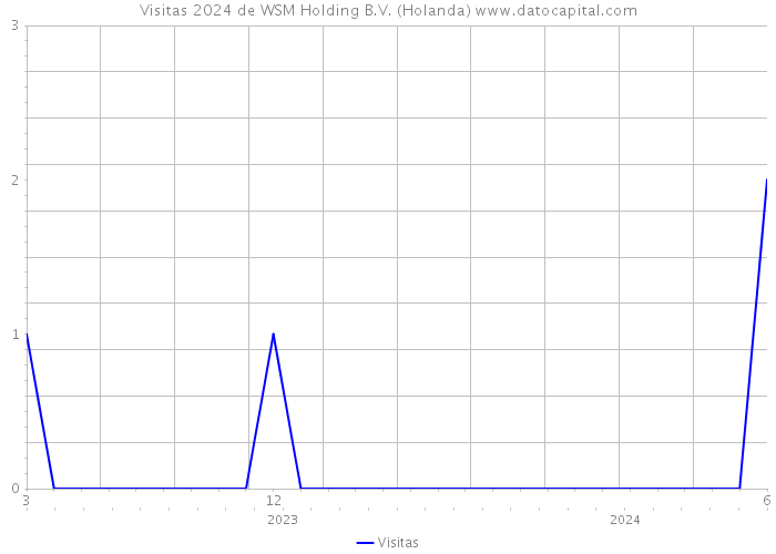 Visitas 2024 de WSM Holding B.V. (Holanda) 