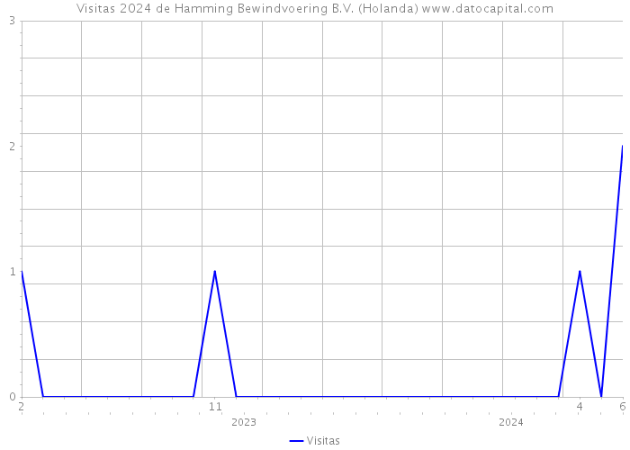 Visitas 2024 de Hamming Bewindvoering B.V. (Holanda) 