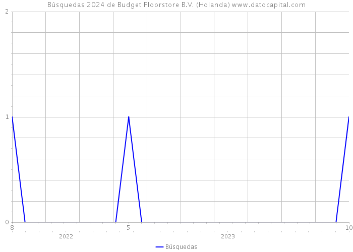 Búsquedas 2024 de Budget Floorstore B.V. (Holanda) 