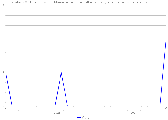 Visitas 2024 de Cross ICT Management Consultancy B.V. (Holanda) 