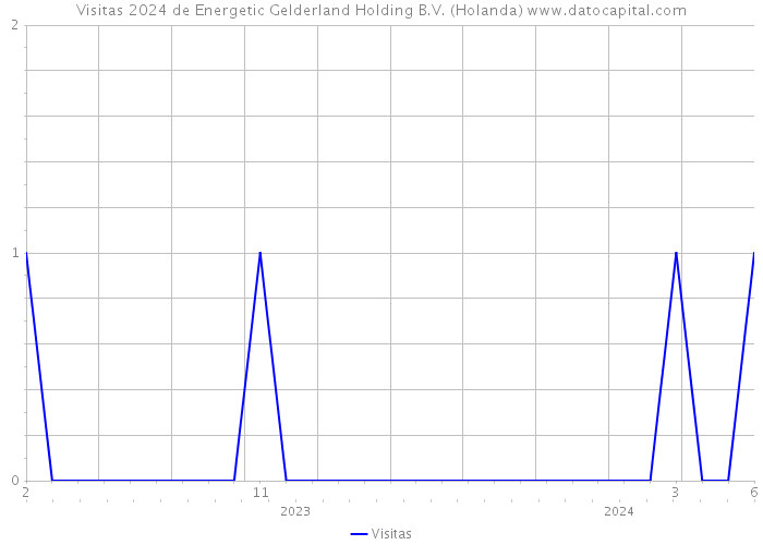 Visitas 2024 de Energetic Gelderland Holding B.V. (Holanda) 