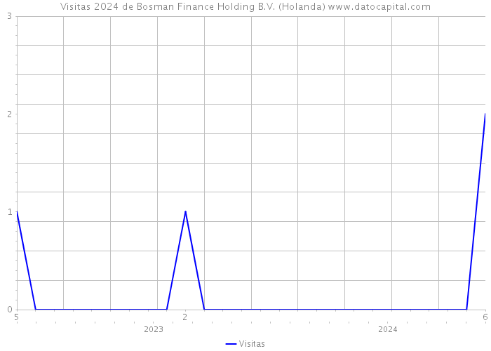 Visitas 2024 de Bosman Finance Holding B.V. (Holanda) 