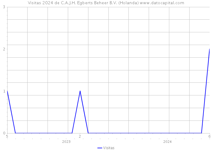 Visitas 2024 de C.A.J.H. Egberts Beheer B.V. (Holanda) 