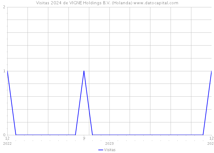 Visitas 2024 de VIGNE Holdings B.V. (Holanda) 