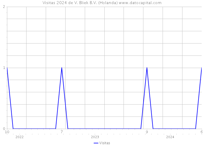 Visitas 2024 de V. Bliek B.V. (Holanda) 