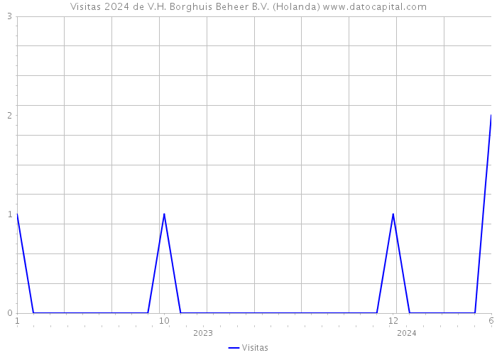 Visitas 2024 de V.H. Borghuis Beheer B.V. (Holanda) 