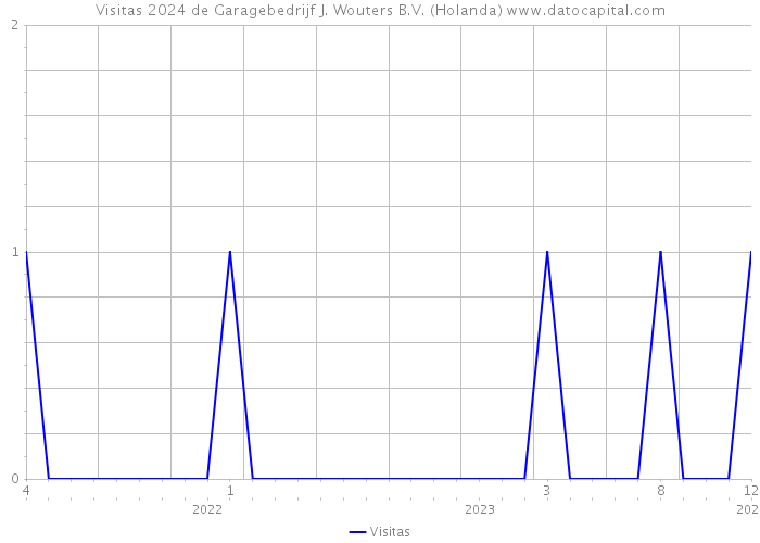 Visitas 2024 de Garagebedrijf J. Wouters B.V. (Holanda) 