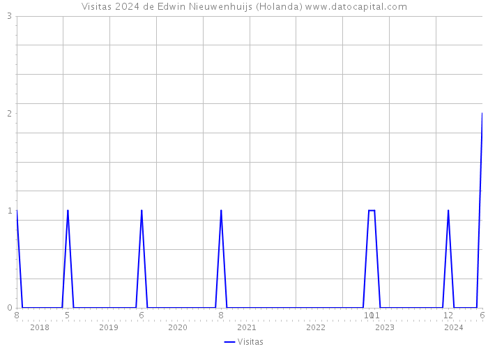 Visitas 2024 de Edwin Nieuwenhuijs (Holanda) 