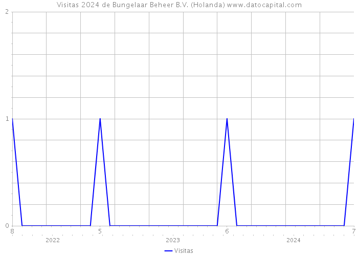 Visitas 2024 de Bungelaar Beheer B.V. (Holanda) 