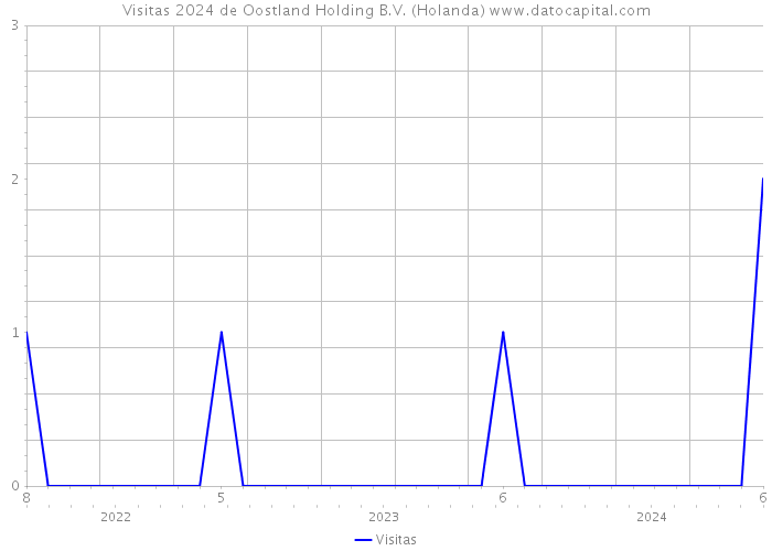 Visitas 2024 de Oostland Holding B.V. (Holanda) 