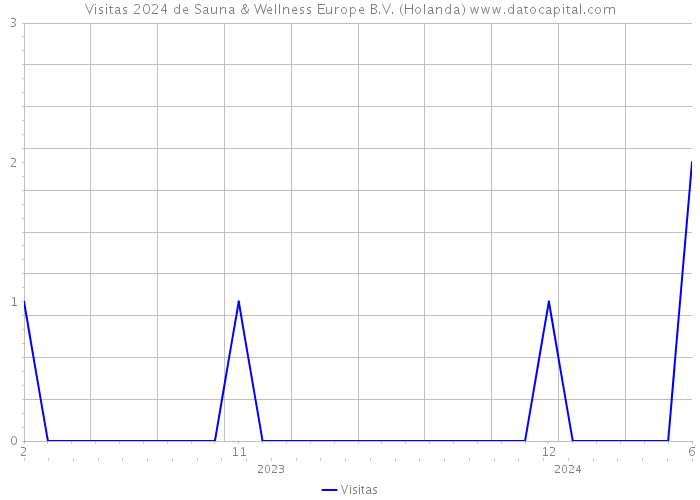 Visitas 2024 de Sauna & Wellness Europe B.V. (Holanda) 
