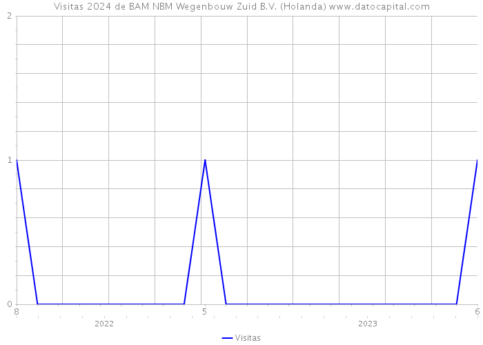 Visitas 2024 de BAM NBM Wegenbouw Zuid B.V. (Holanda) 