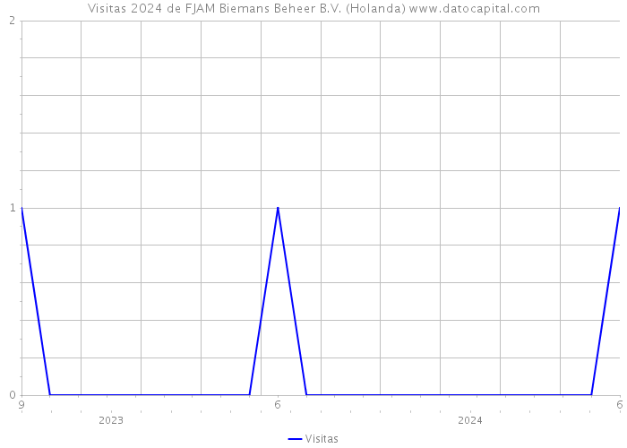 Visitas 2024 de FJAM Biemans Beheer B.V. (Holanda) 