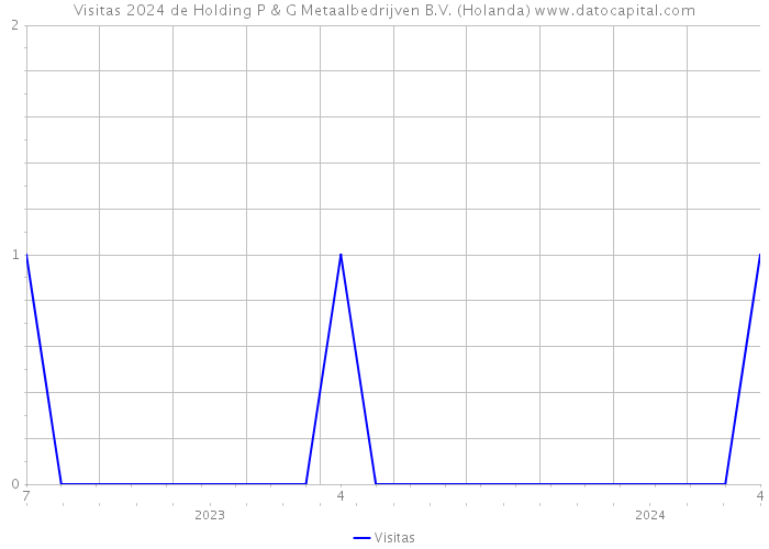 Visitas 2024 de Holding P & G Metaalbedrijven B.V. (Holanda) 