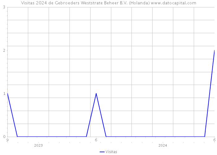 Visitas 2024 de Gebroeders Weststrate Beheer B.V. (Holanda) 