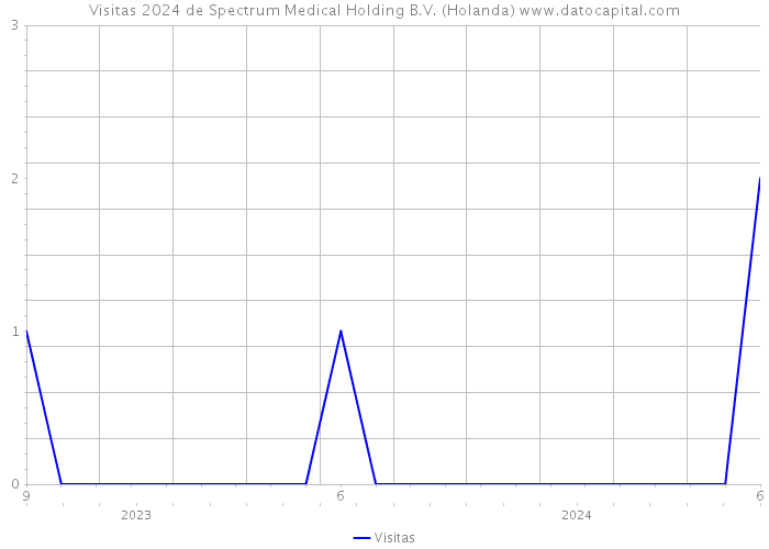 Visitas 2024 de Spectrum Medical Holding B.V. (Holanda) 