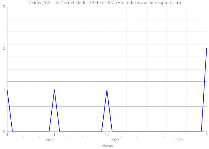 Visitas 2024 de Cornel Medical Beheer B.V. (Holanda) 