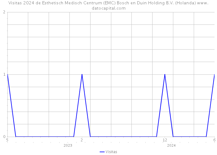 Visitas 2024 de Esthetisch Medisch Centrum (EMC) Bosch en Duin Holding B.V. (Holanda) 