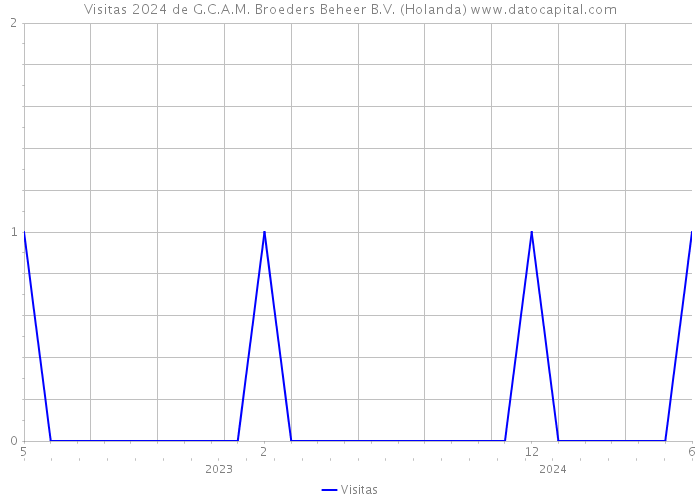 Visitas 2024 de G.C.A.M. Broeders Beheer B.V. (Holanda) 