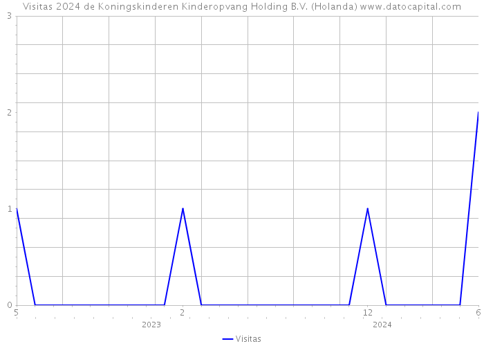 Visitas 2024 de Koningskinderen Kinderopvang Holding B.V. (Holanda) 