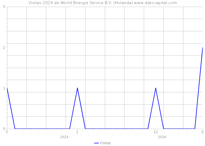 Visitas 2024 de World Energie Service B.V. (Holanda) 