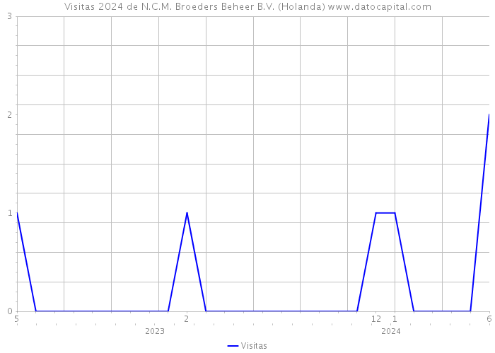 Visitas 2024 de N.C.M. Broeders Beheer B.V. (Holanda) 