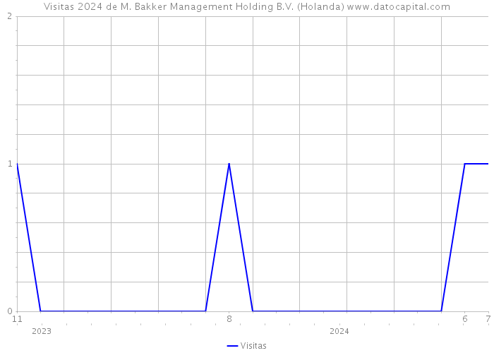 Visitas 2024 de M. Bakker Management Holding B.V. (Holanda) 