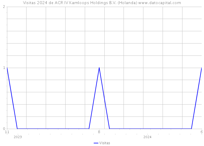 Visitas 2024 de ACR IV Kamloops Holdings B.V. (Holanda) 