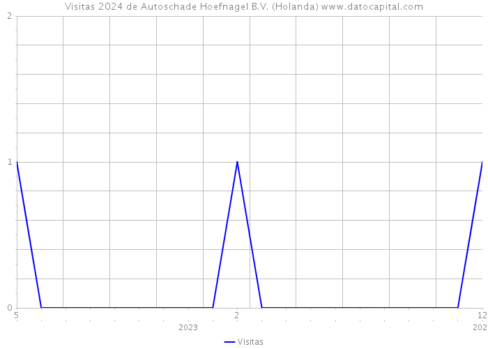 Visitas 2024 de Autoschade Hoefnagel B.V. (Holanda) 