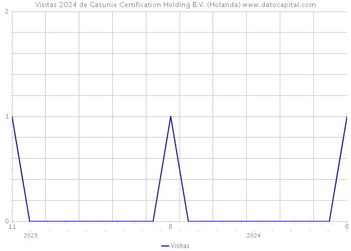 Visitas 2024 de Gasunie Certification Holding B.V. (Holanda) 