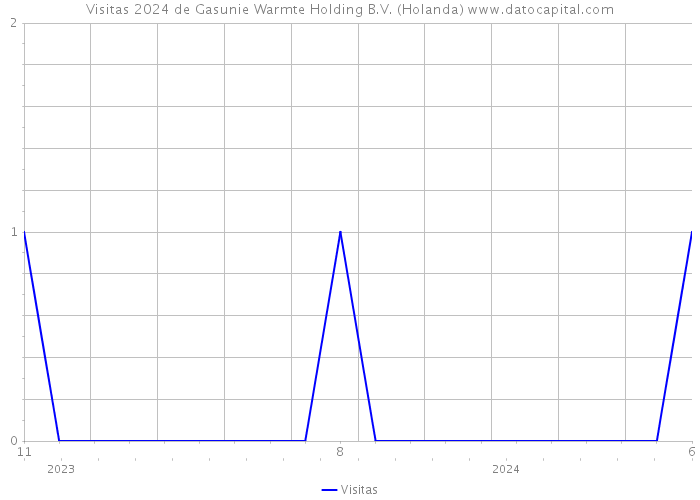 Visitas 2024 de Gasunie Warmte Holding B.V. (Holanda) 