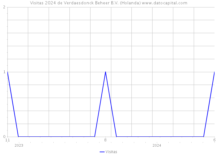 Visitas 2024 de Verdaesdonck Beheer B.V. (Holanda) 